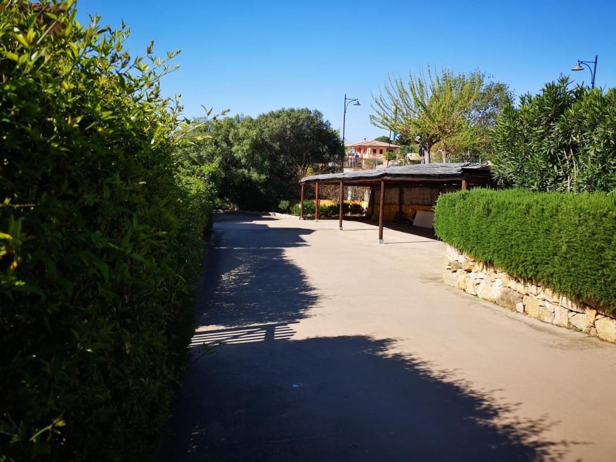 Insardinia House Trilocale A 200Mt Dalla Spiaggia أولبيا المظهر الخارجي الصورة