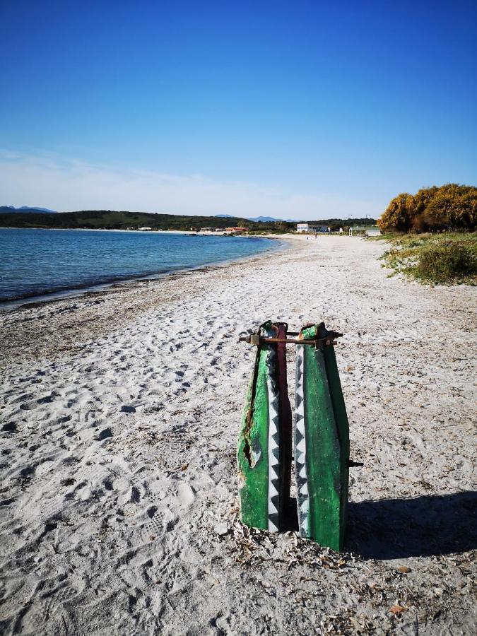 Insardinia House Trilocale A 200Mt Dalla Spiaggia أولبيا المظهر الخارجي الصورة