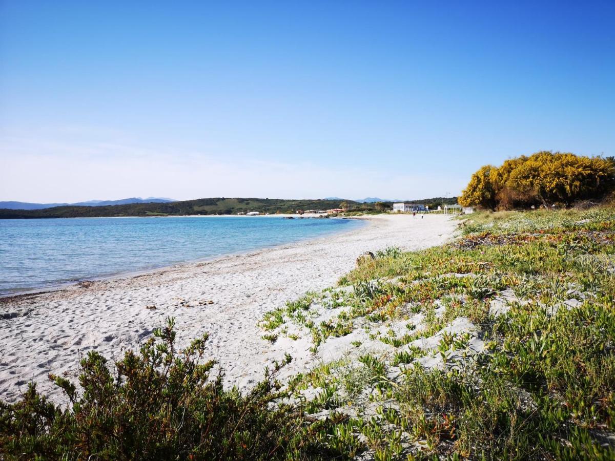 Insardinia House Trilocale A 200Mt Dalla Spiaggia أولبيا المظهر الخارجي الصورة